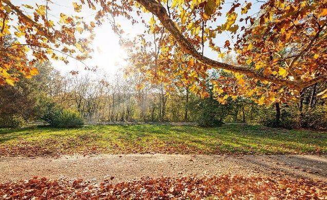 �＾ݡ�����Ԥ��