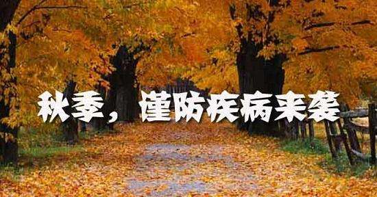 �＾Ϊʲô���׳���Ƥ����?����Ƥ�����������Ƥ��������